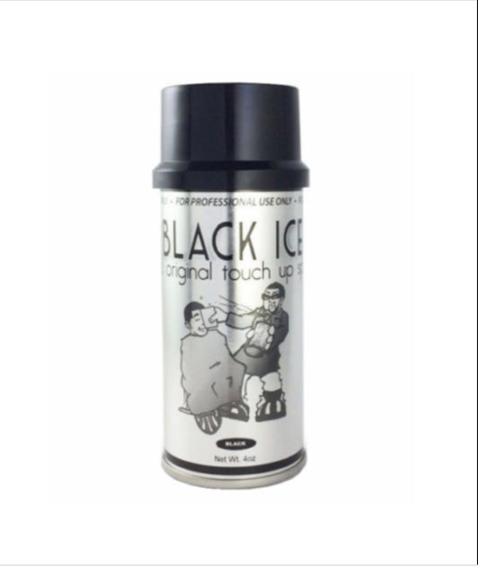 Black Ice Touch Up Spray (Black)